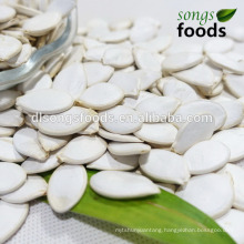 China Snow White Pumpkin Seeds , Seeds We Eat, Seeds for Sale